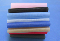 玛纳斯涤纶（PET）无纺布是什么