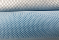 玛纳斯(PP)丙纶无纺布跟(PET)涤纶无纺布的区别